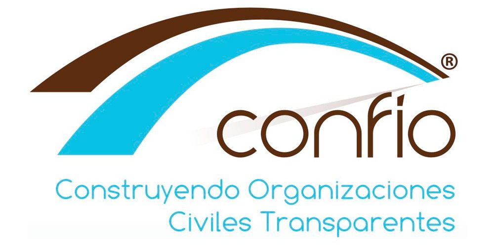 Organización analizada